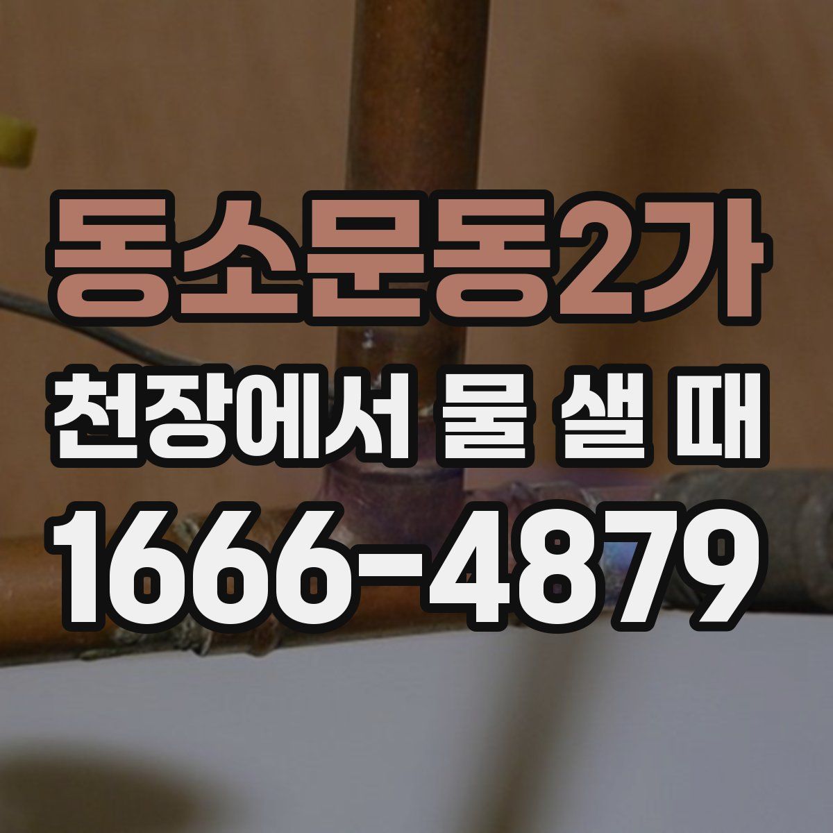 동소문동2가 천장에서 물 샐 때