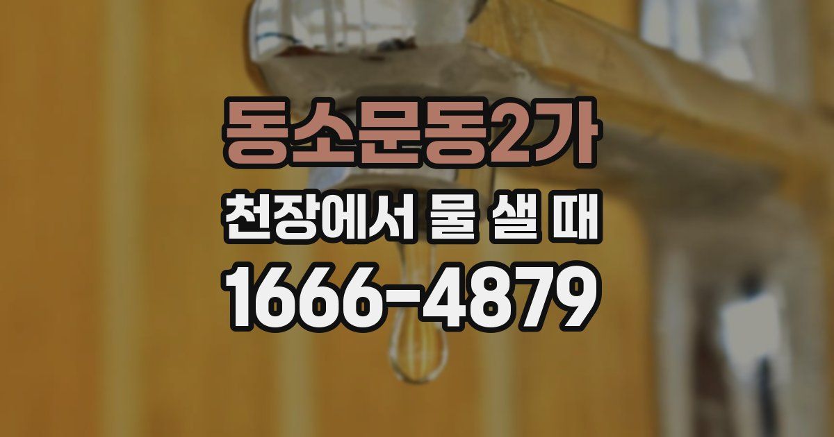 동소문동2가 천장에서 물 샐 때