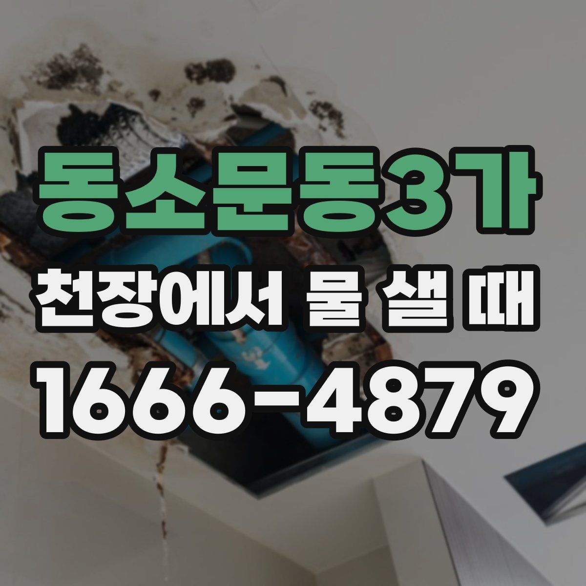 동소문동3가 천장에서 물 샐 때