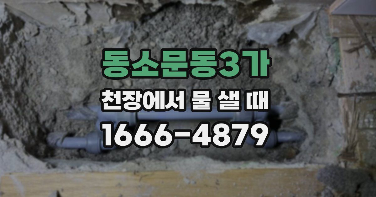 동소문동3가 천장에서 물 샐 때