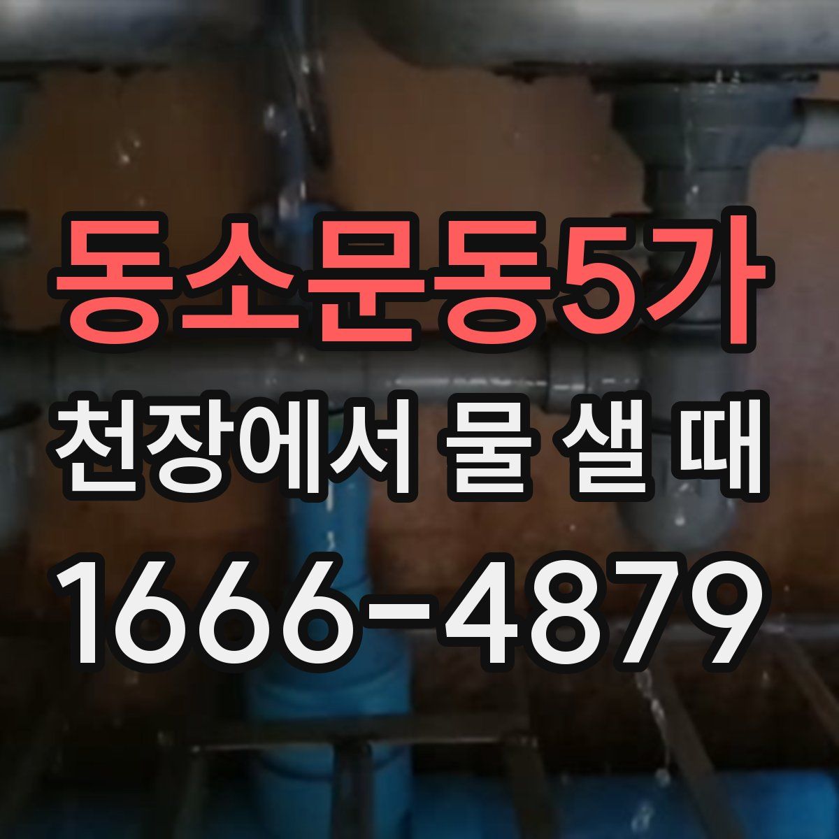 동소문동5가 천장에서 물 샐 때