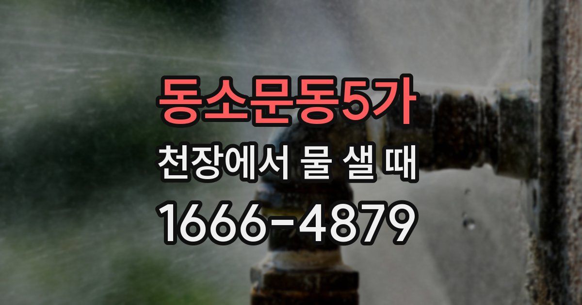 동소문동5가 천장에서 물 샐 때