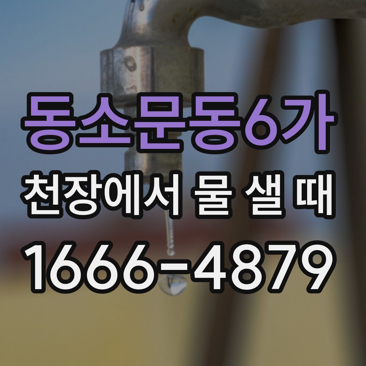 동소문동6가 천장에서 물 샐 때