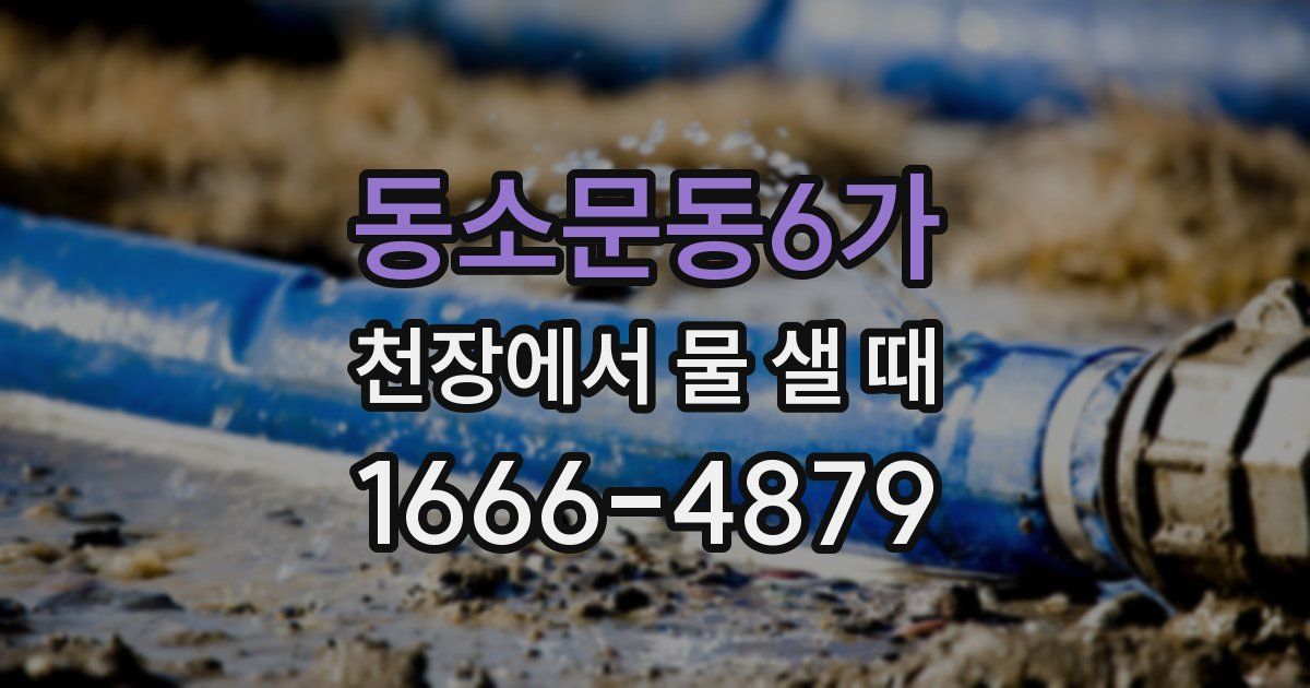 동소문동6가 천장에서 물 샐 때