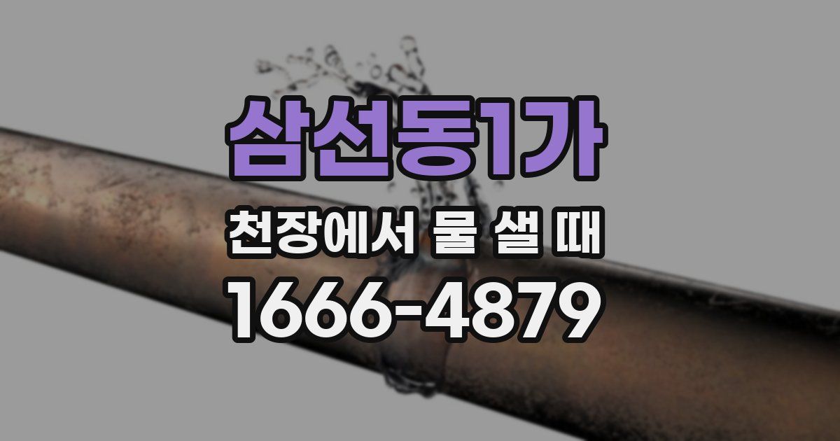 삼선동1가 천장에서 물 샐 때