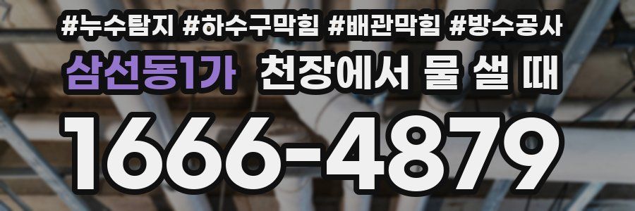 삼선동1가 천장에서 물 샐 때