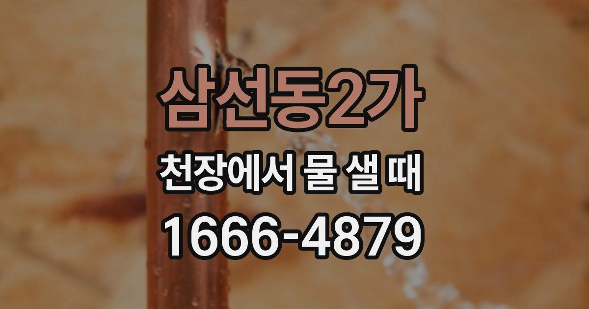 삼선동2가 천장에서 물 샐 때