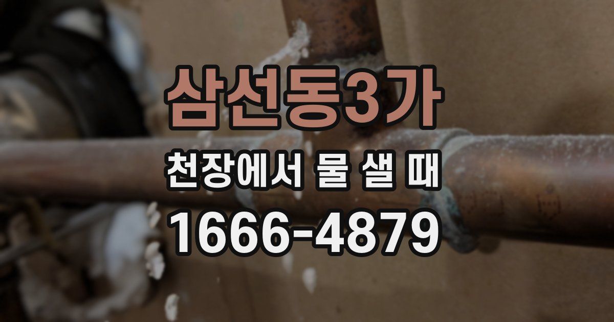 삼선동3가 천장에서 물 샐 때