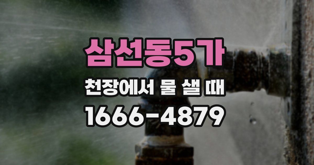 삼선동5가 천장에서 물 샐 때