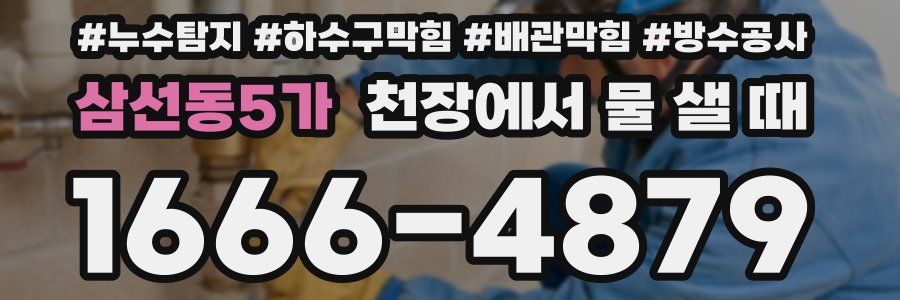삼선동5가 천장에서 물 샐 때