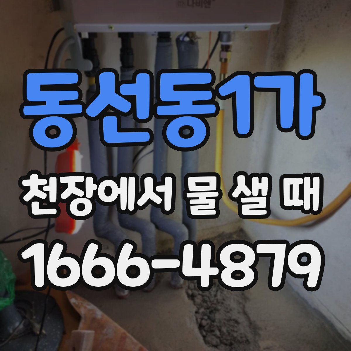 동선동1가 천장에서 물 샐 때