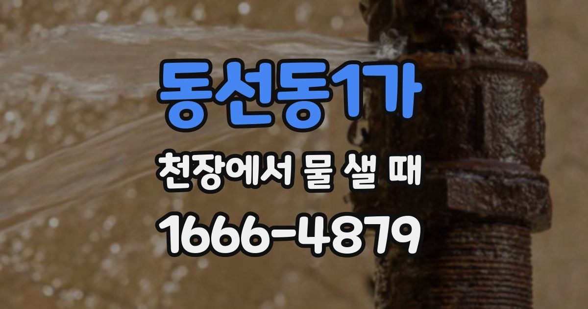 동선동1가 천장에서 물 샐 때