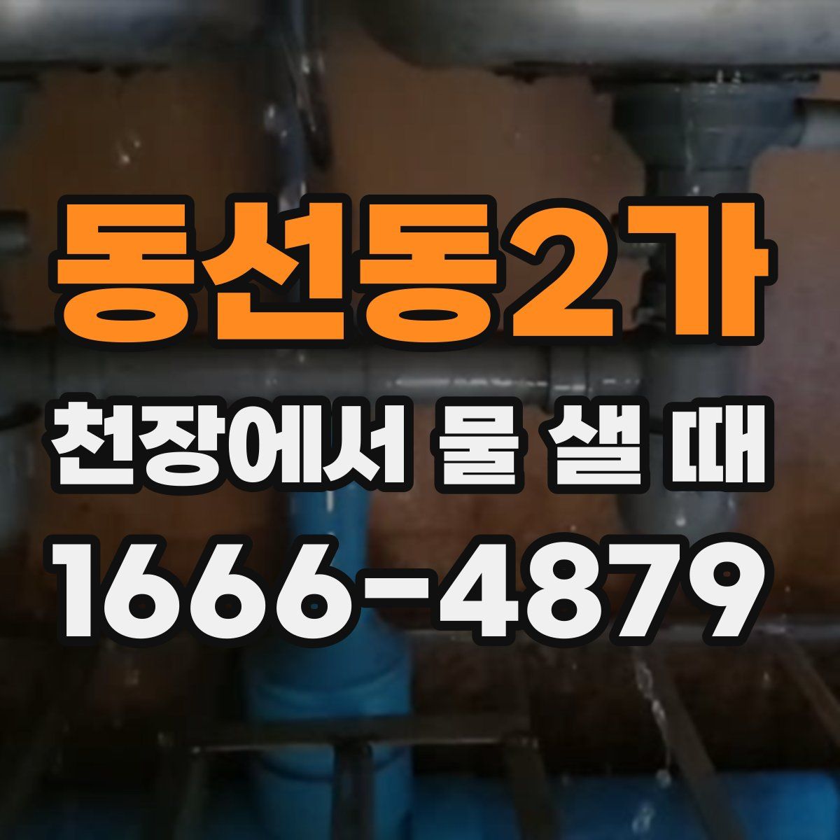 동선동2가 천장에서 물 샐 때