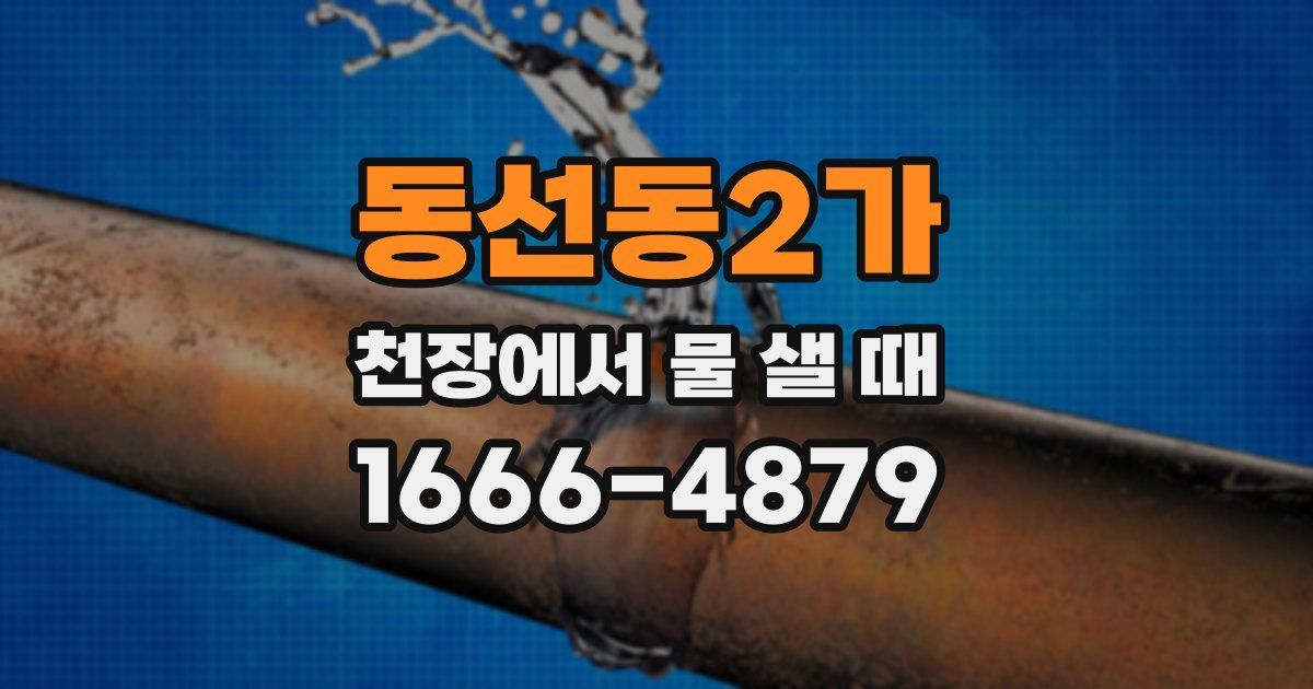 동선동2가 천장에서 물 샐 때