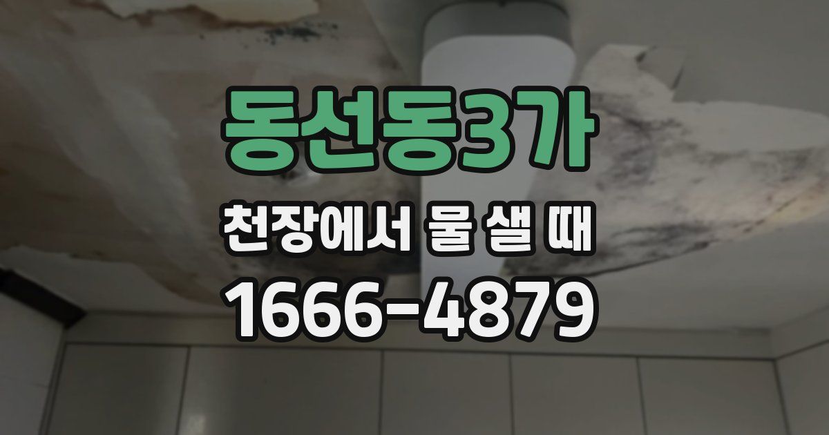 동선동3가 천장에서 물 샐 때