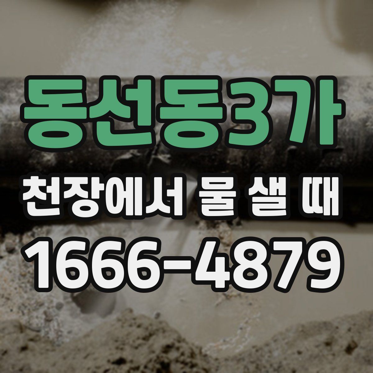 동선동3가 천장에서 물 샐 때
