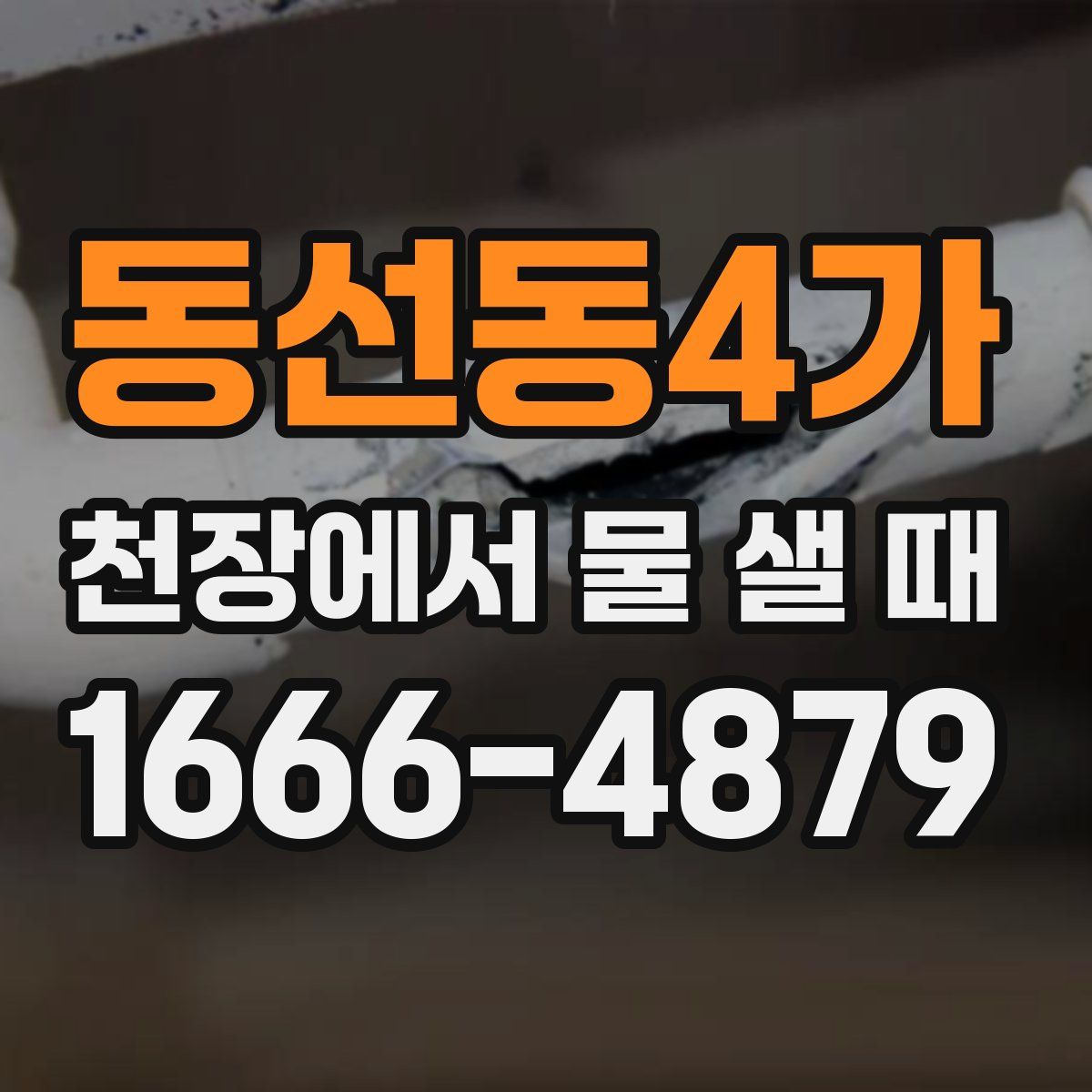 동선동4가 천장에서 물 샐 때