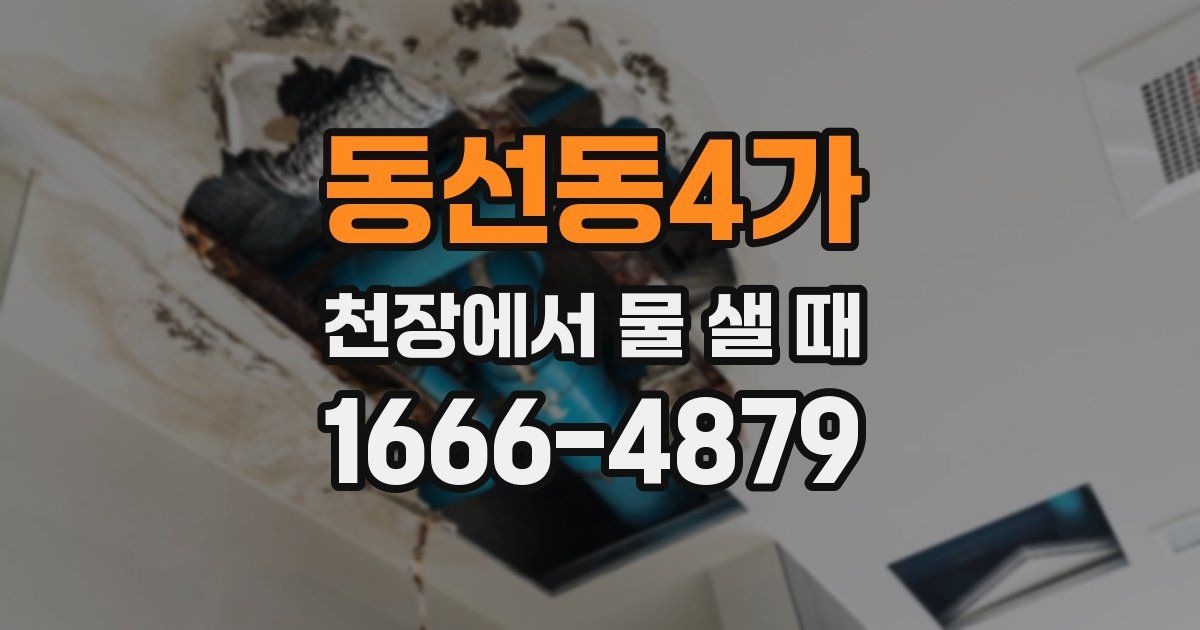 동선동4가 천장에서 물 샐 때