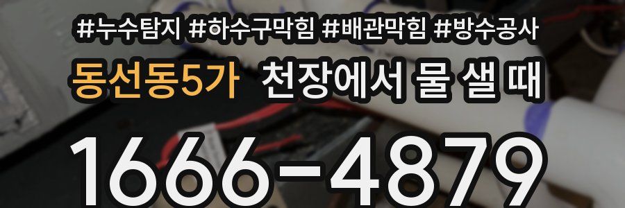 동선동5가 천장에서 물 샐 때