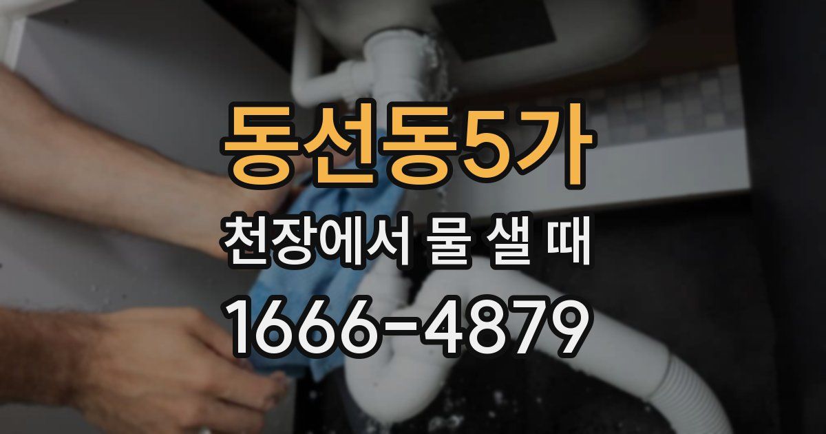동선동5가 천장에서 물 샐 때