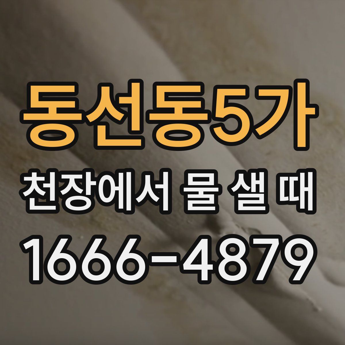동선동5가 천장에서 물 샐 때