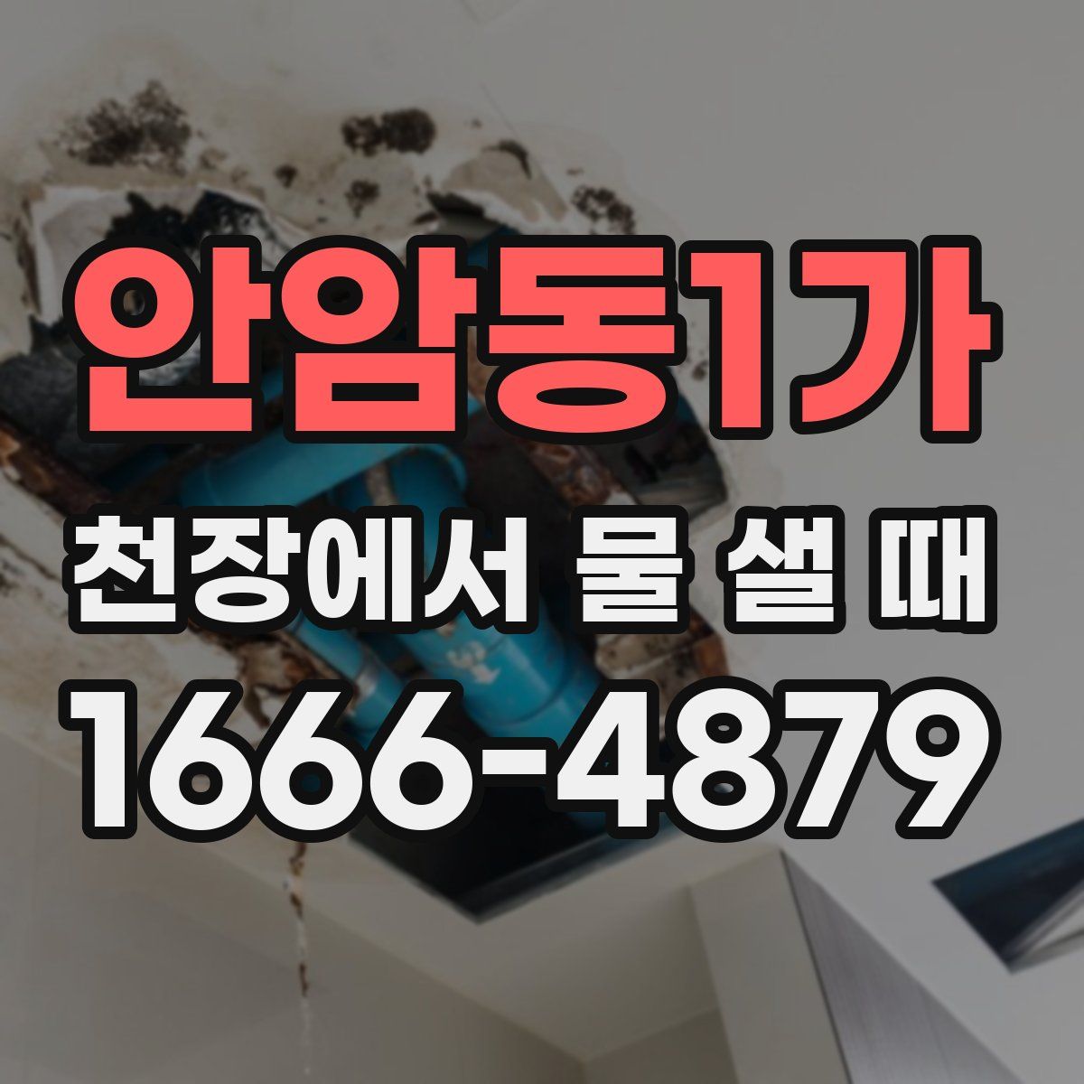 안암동1가 천장에서 물 샐 때