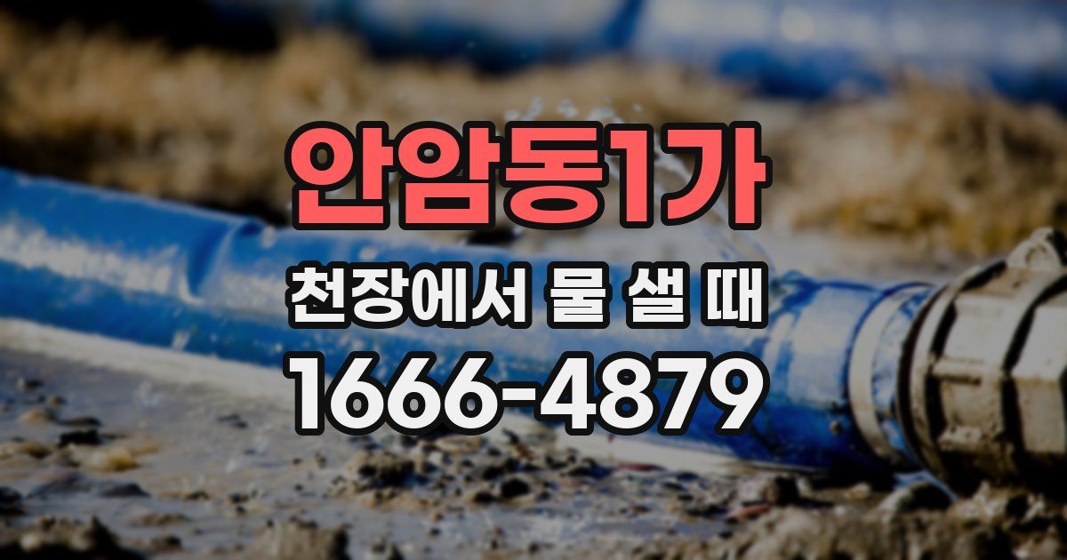 안암동1가 천장에서 물 샐 때