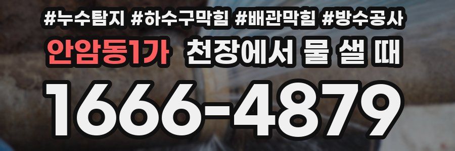 안암동1가 천장에서 물 샐 때