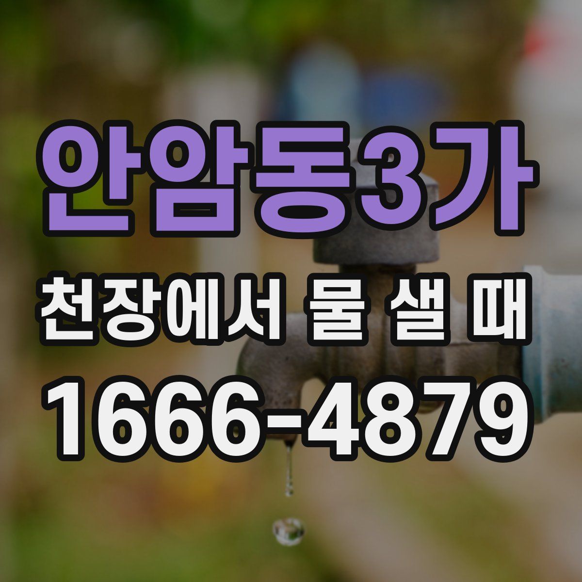 안암동3가 천장에서 물 샐 때