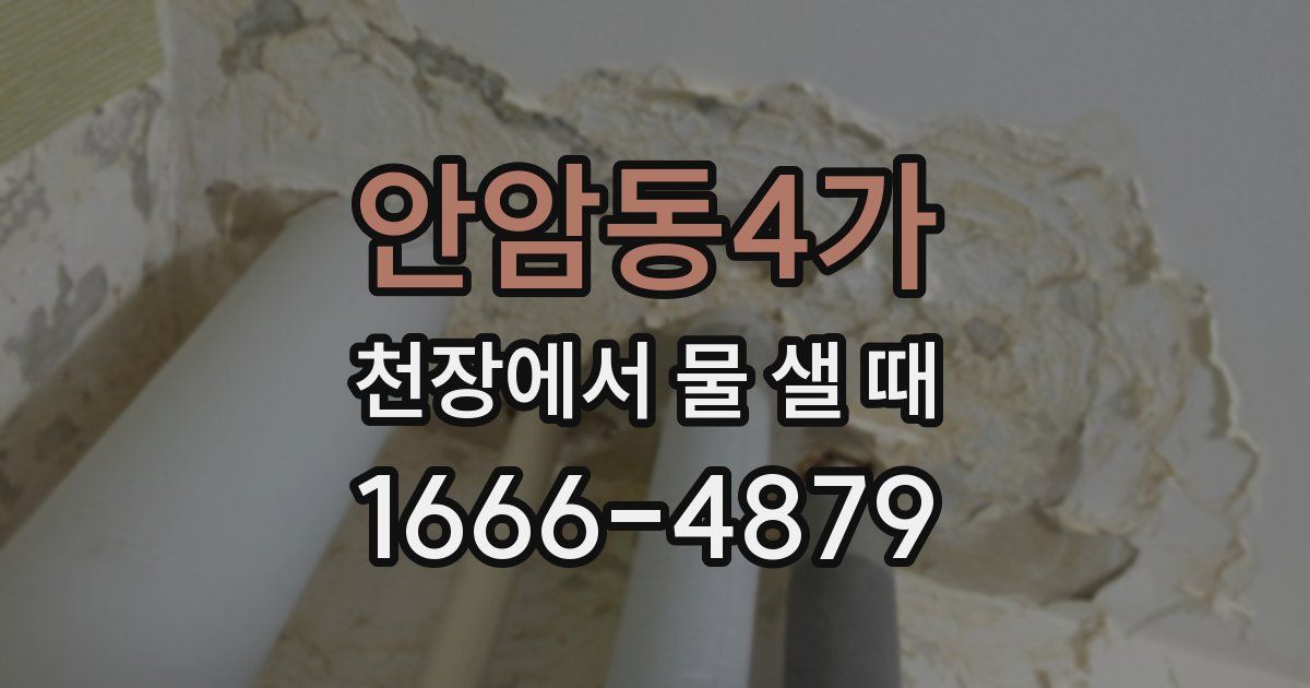 안암동4가 천장에서 물 샐 때