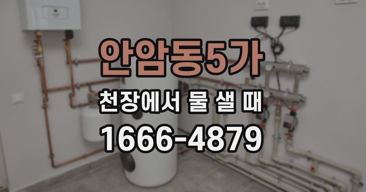 안암동5가 천장에서 물 샐 때
