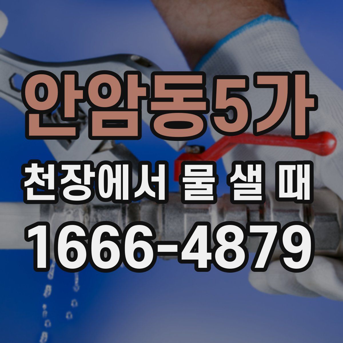 안암동5가 천장에서 물 샐 때