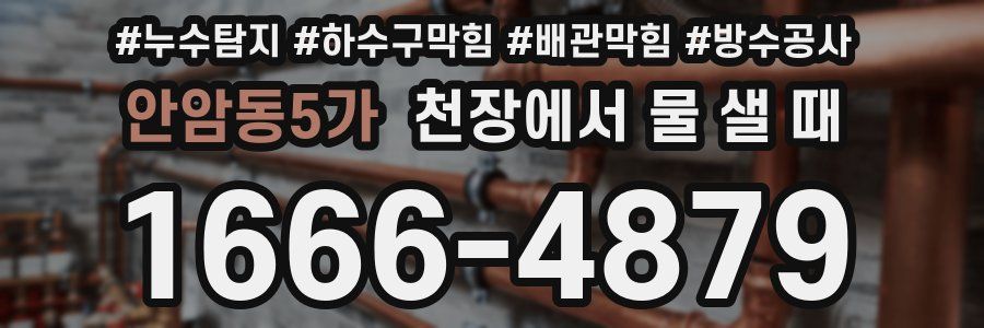 안암동5가 천장에서 물 샐 때