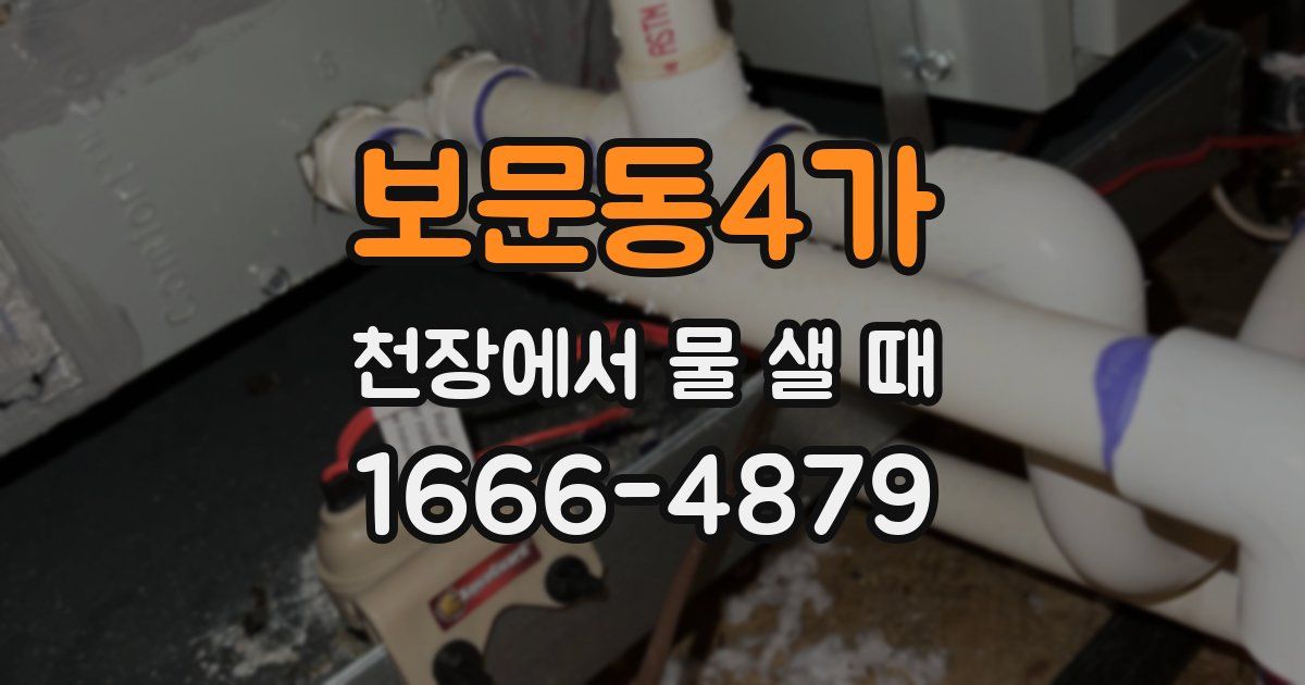 보문동4가 천장에서 물 샐 때