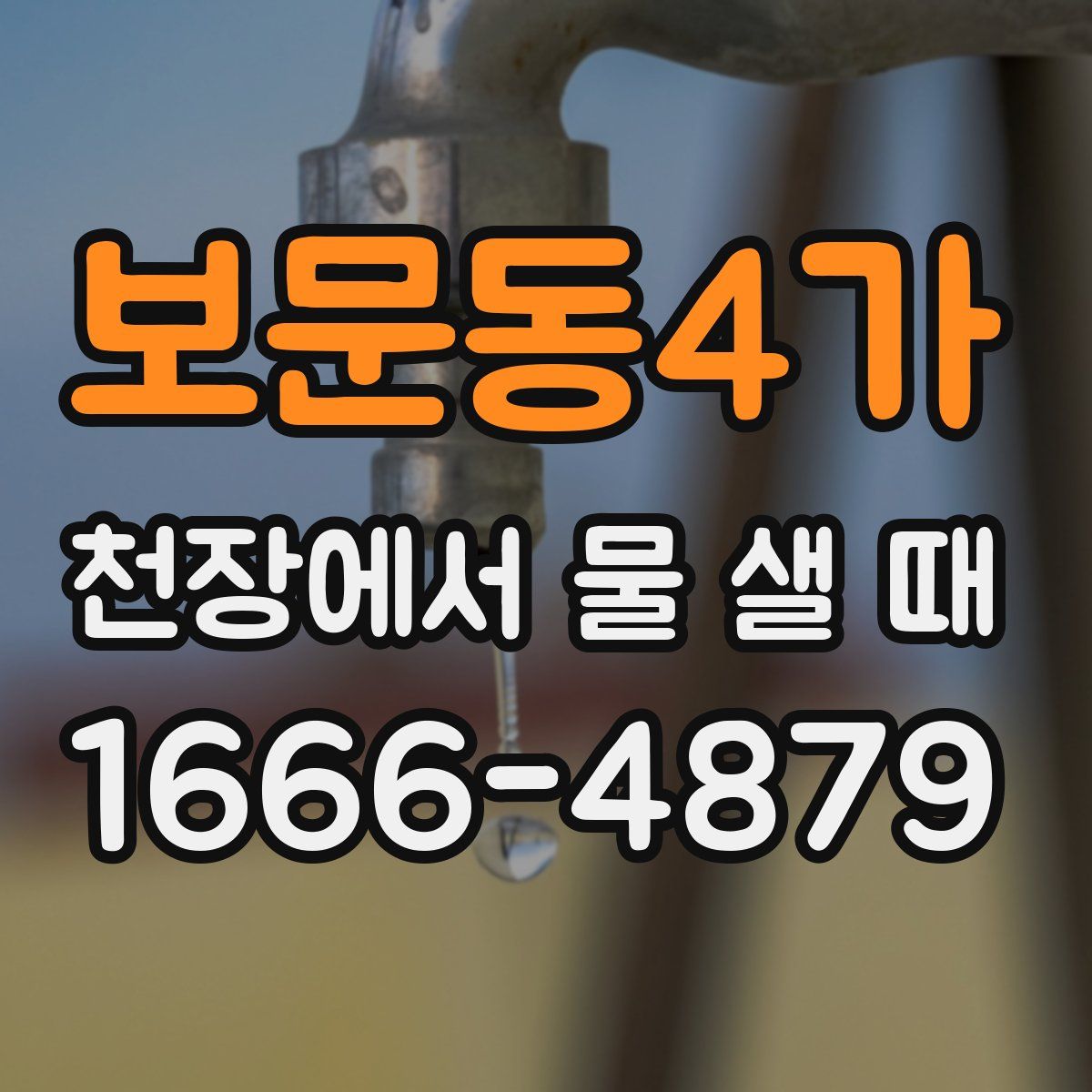 보문동4가 천장에서 물 샐 때