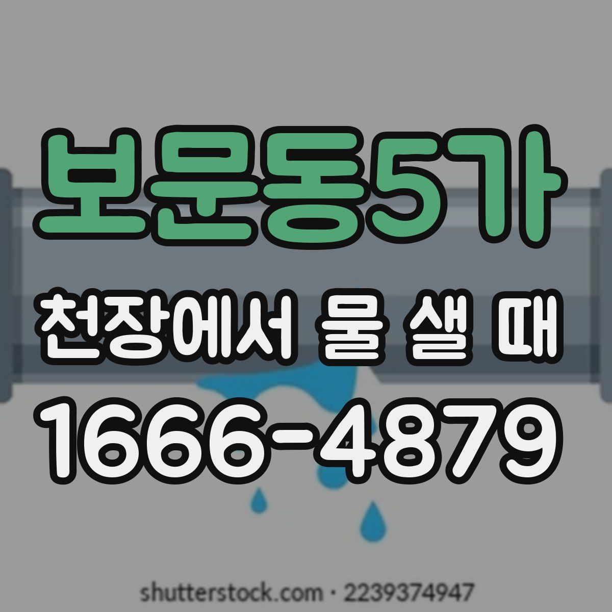 보문동5가 천장에서 물 샐 때