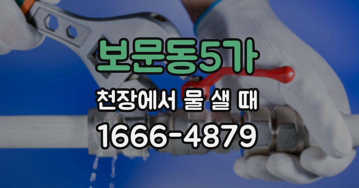 보문동5가 천장에서 물 샐 때