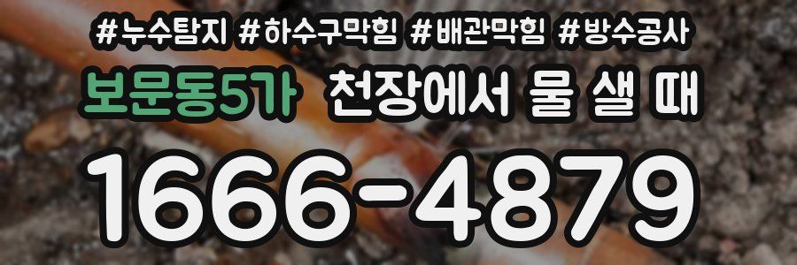 보문동5가 천장에서 물 샐 때