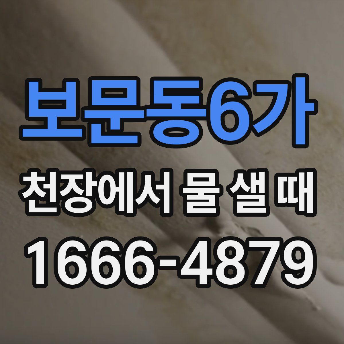 보문동6가 천장에서 물 샐 때