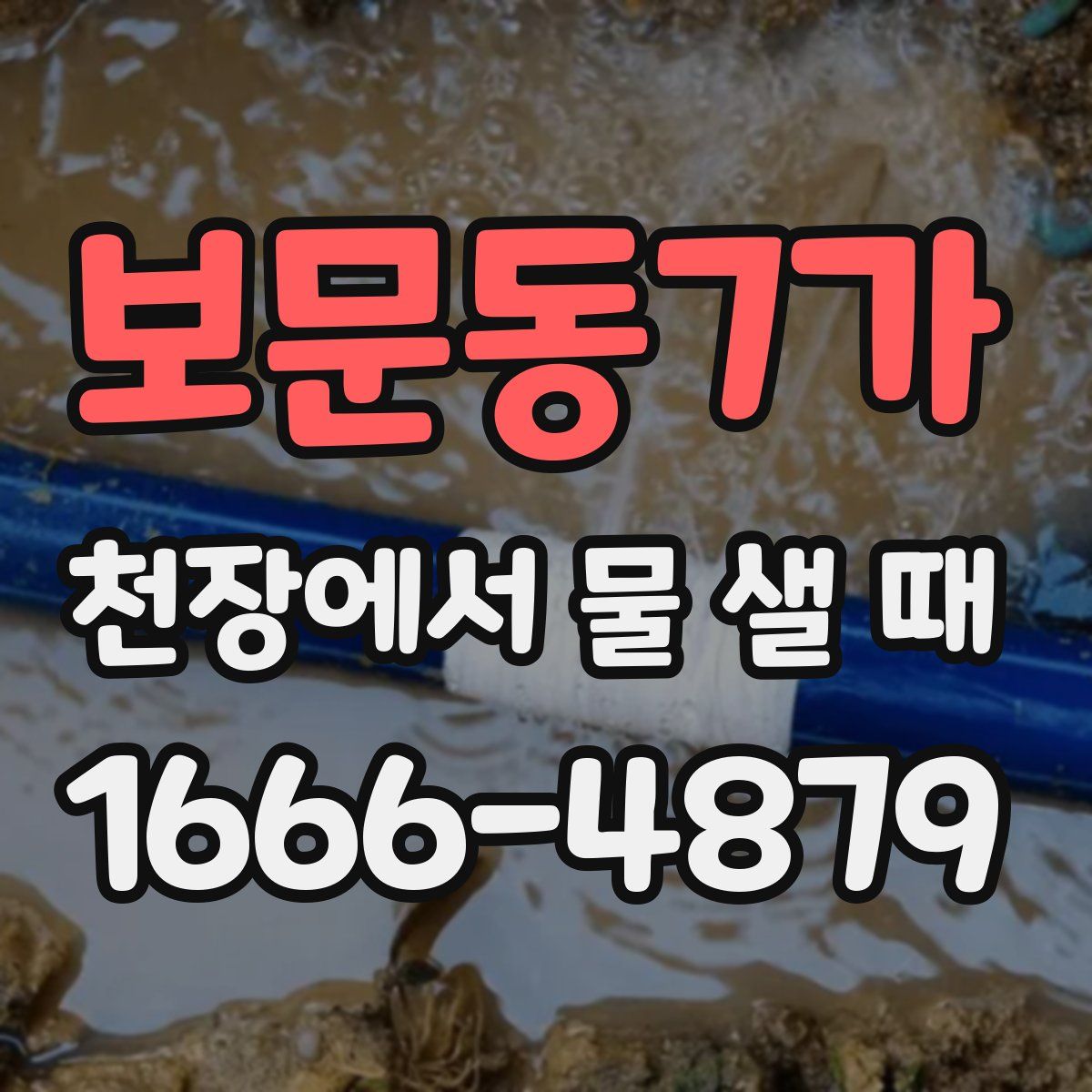 보문동7가 천장에서 물 샐 때