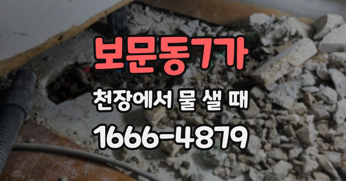 보문동7가 천장에서 물 샐 때