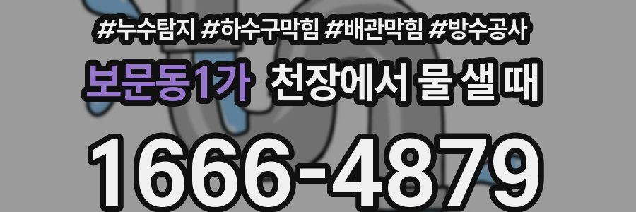 보문동1가 천장에서 물 샐 때
