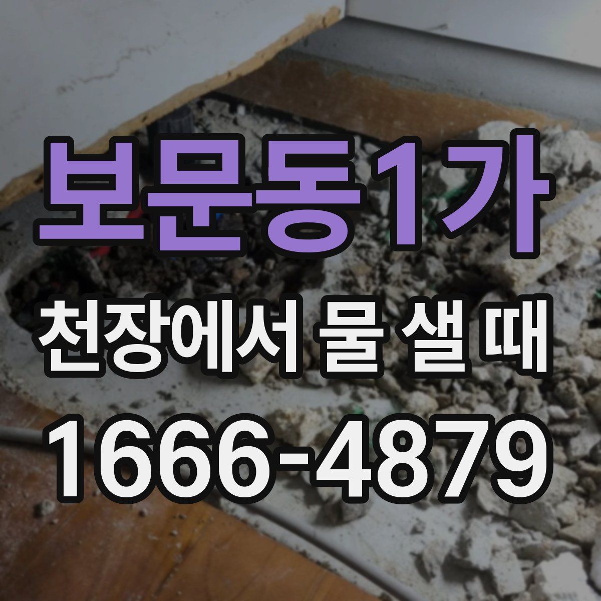 보문동1가 천장에서 물 샐 때