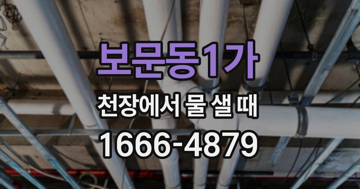 보문동1가 천장에서 물 샐 때