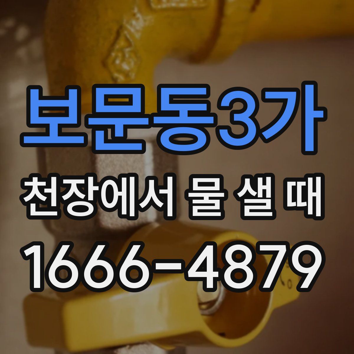 보문동3가 천장에서 물 샐 때