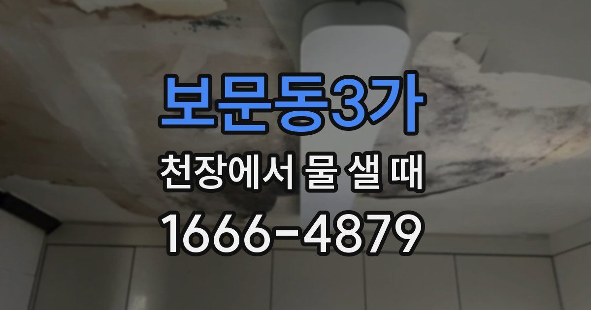 보문동3가 천장에서 물 샐 때