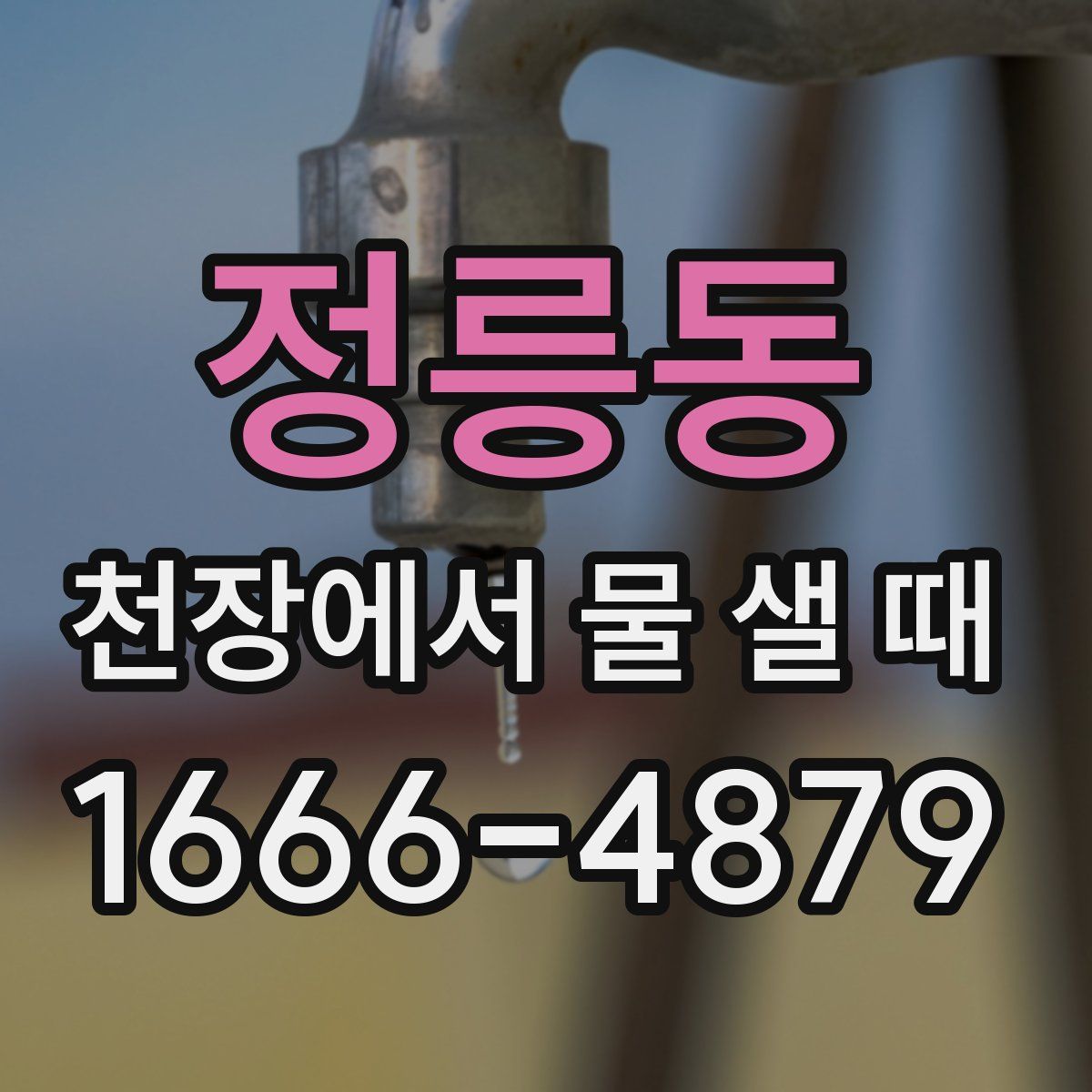 정릉동 천장에서 물 샐 때