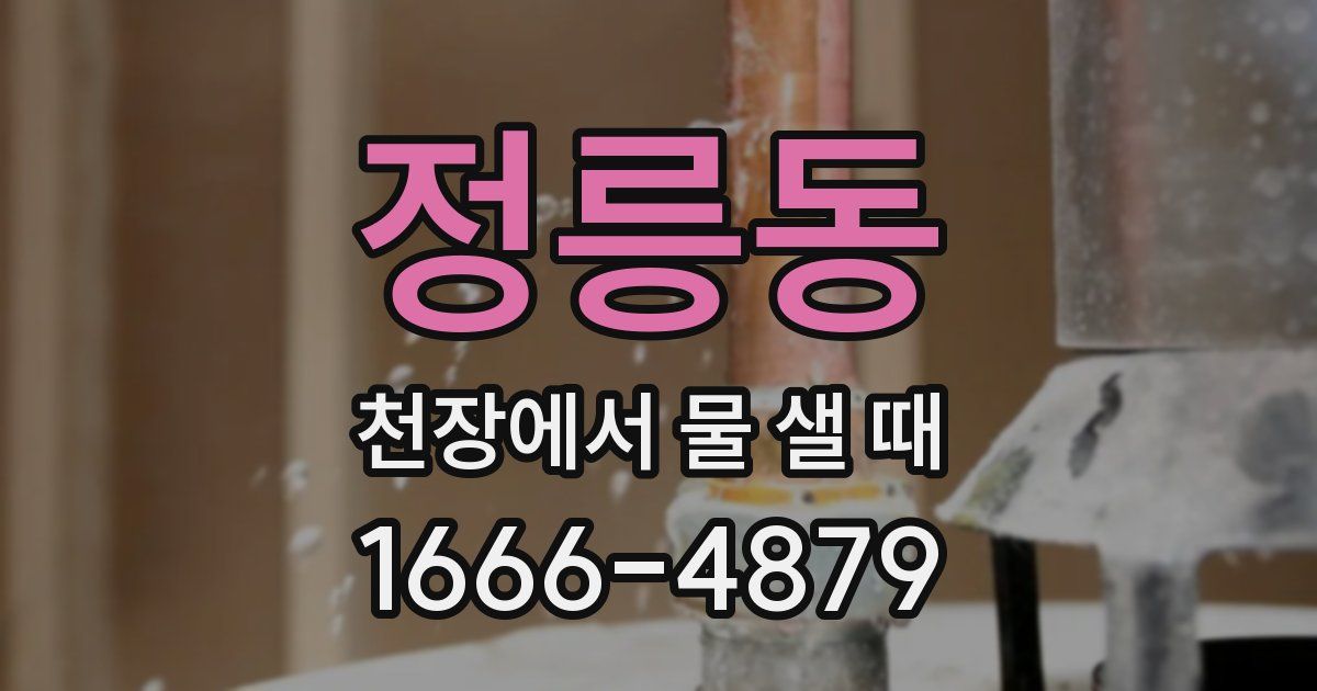 정릉동 천장에서 물 샐 때