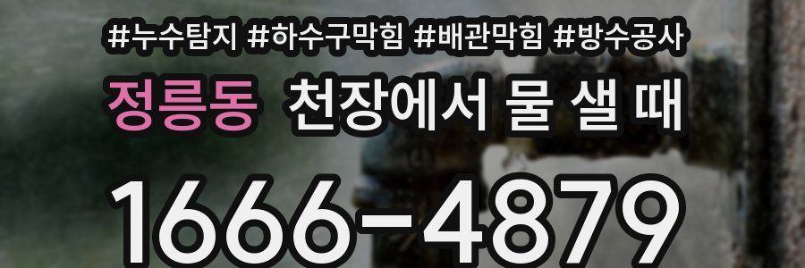 정릉동 천장에서 물 샐 때