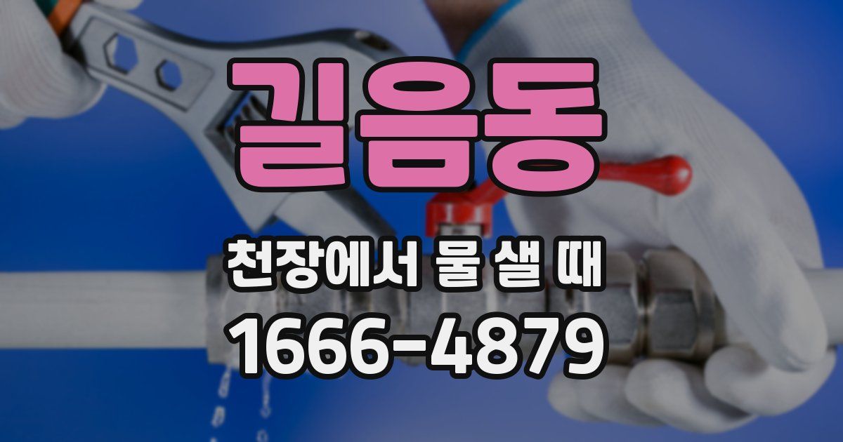 길음동 천장에서 물 샐 때